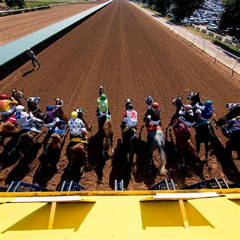 Access daily racing programs here. . Ruidoso entries